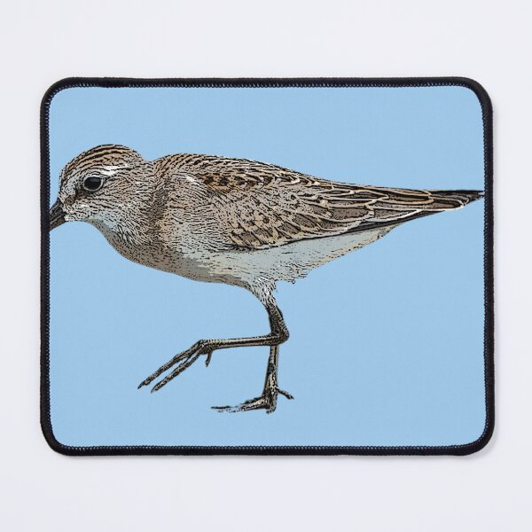 Item preview, Semipalmated Sandpiper Color Design  designed and sold by designsasstultd.