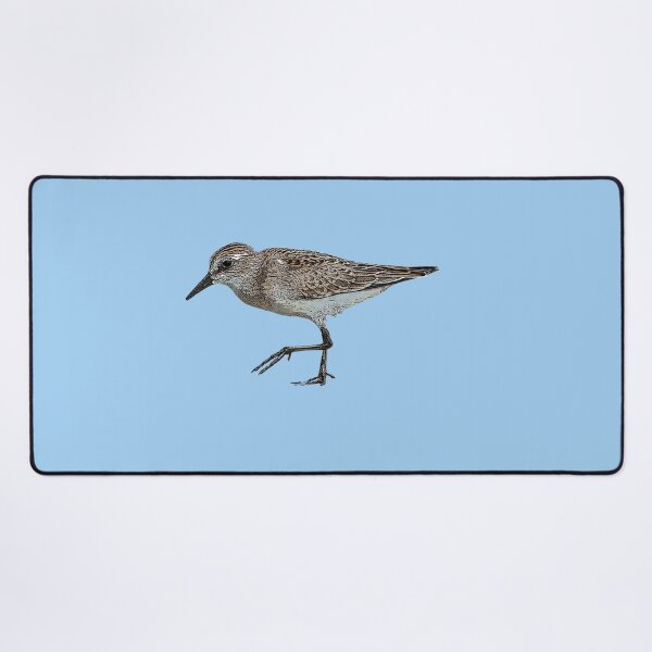 Item preview, Semipalmated Sandpiper Color Design  designed and sold by designsasstultd.