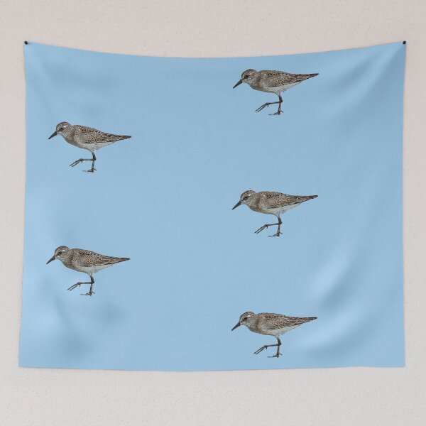 Item preview, Semipalmated Sandpiper Color Design  designed and sold by designsasstultd.