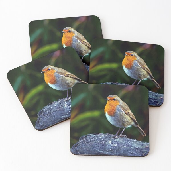Item preview, Robin designed and sold by Tom McPherson Photography.