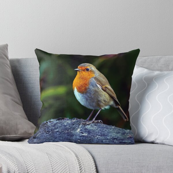 Item preview, Robin designed and sold by Tom McPherson Photography.