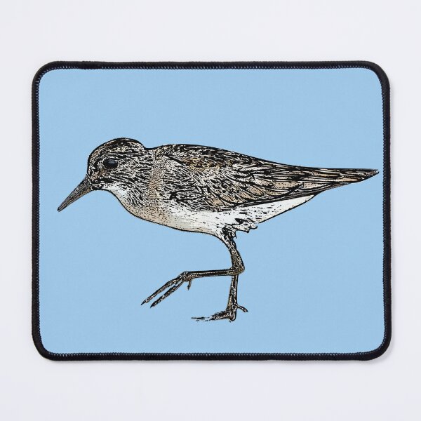 Item preview, Semipalmated Sandpiper Black Alternate Design  designed and sold by designsasstultd.