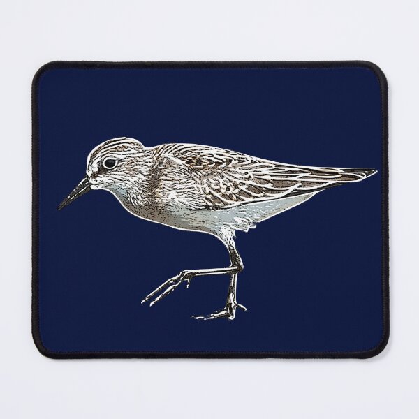 Item preview, Semipalmated Sandpiper White Alternate Design  designed and sold by designsasstultd.