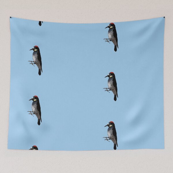 Item preview, Acorn Woodpecker Color Design  designed and sold by designsasstultd.