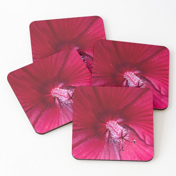 Item preview, Hardy Hibiscus designed and sold by Wendy Aull.