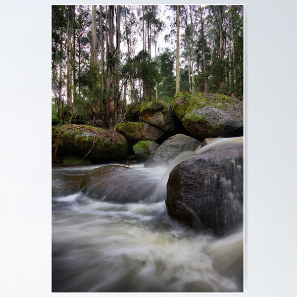 Item preview, Milk of the Forest - Toorongo River designed and sold by Jim Worrall.