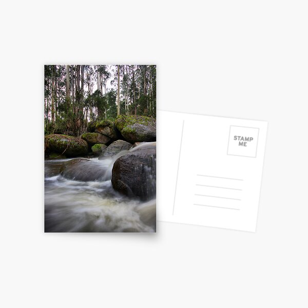 Milk of the Forest - Toorongo River Postcard