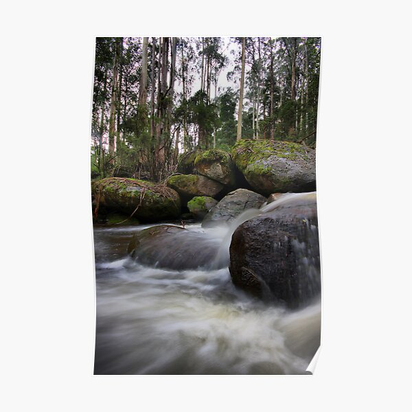 Milk of the Forest - Toorongo River Poster