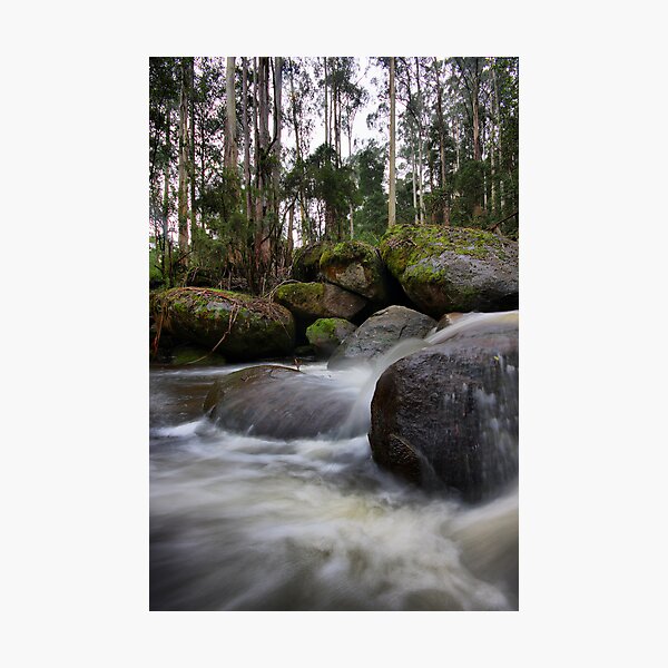 Item preview, Milk of the Forest - Toorongo River designed and sold by Jim Worrall.