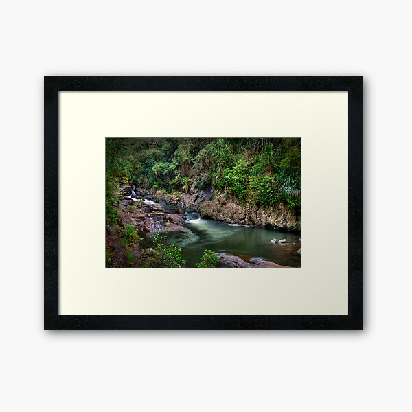 Lush Framed Art Print