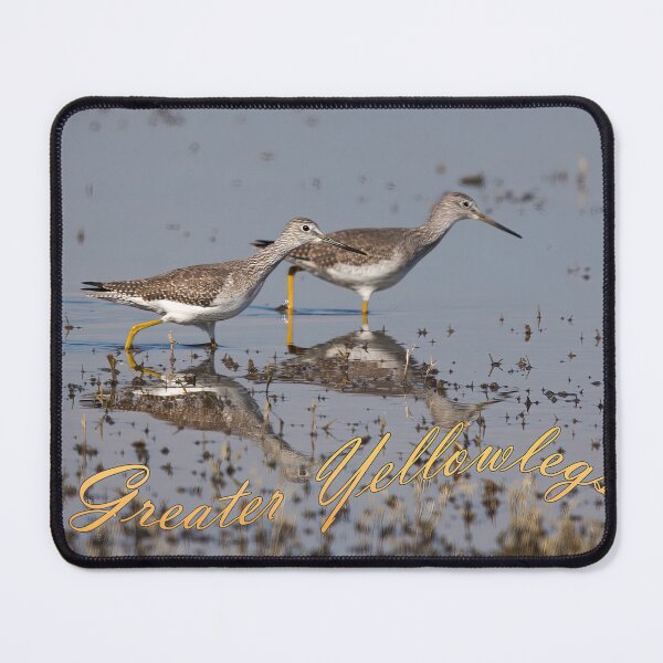 Item preview, Greater Yellowlegs designed and sold by CarolM.