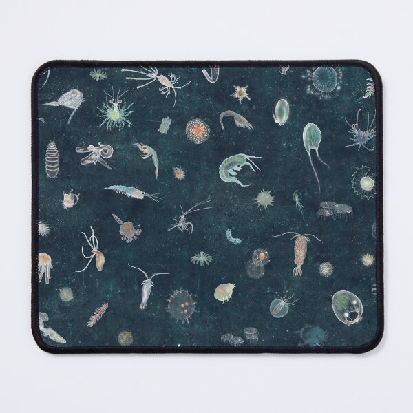 Item preview, Plankton designed and sold by Katherine Quinn Illustration.