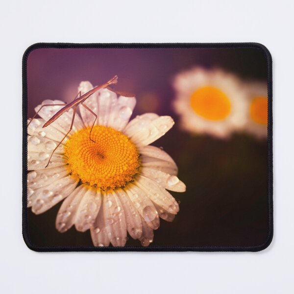 Item preview, Delicate Balance designed and sold by Jim Love.