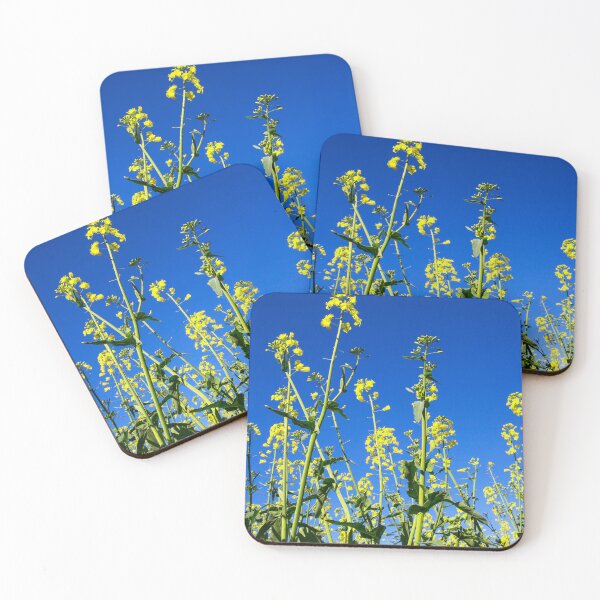 Item preview, Dancing with canola.. designed and sold by mitpjenkeating.