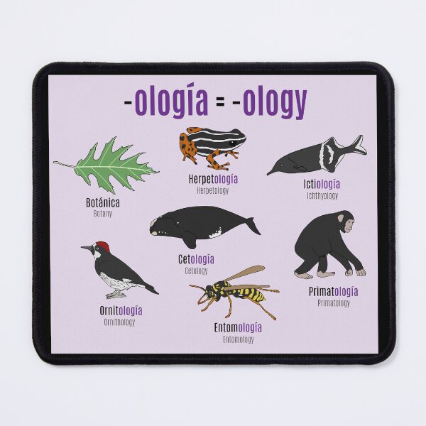 Item preview, -Ologies in Spanish designed and sold by taylorrowan.