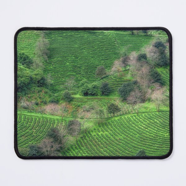 Item preview, Sapa Green Tea Farm designed and sold by aaronchoi.