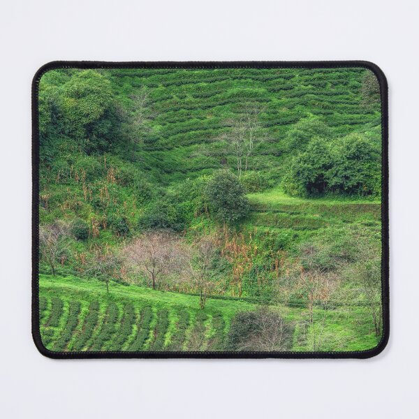 Item preview, Sapa Green Tea Farm designed and sold by aaronchoi.