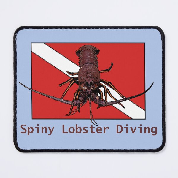 Item preview, Spiny Lobster with a Red Diver Down Flag URM designed and sold by urmaddad.