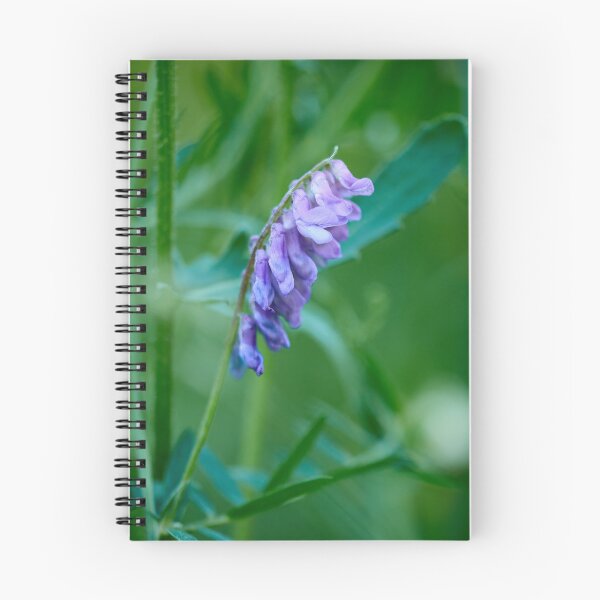 Item preview, Cows or Birds. Tufted vetch designed and sold by Jouko Lehto Photography.