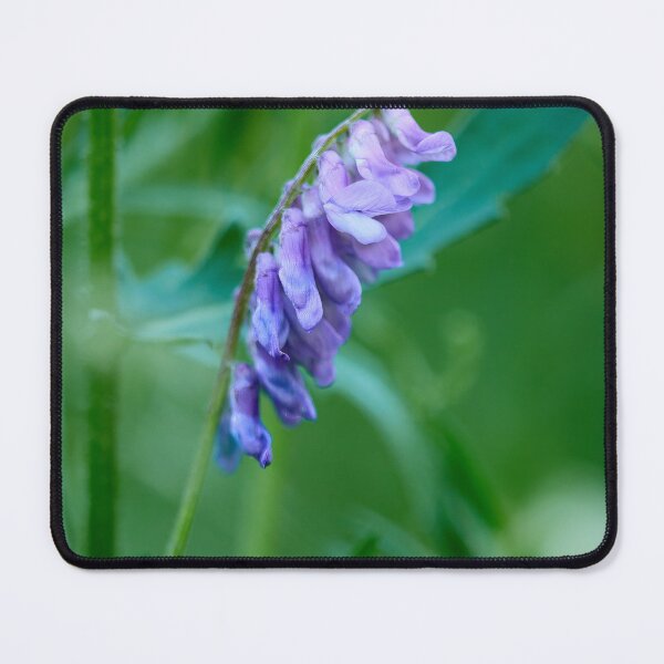 Item preview, Cows or Birds. Tufted vetch designed and sold by Jouko Lehto Photography.