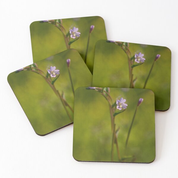 Item preview, The modest one. Broad-leaved Willowherb designed and sold by Jouko Lehto Photography.