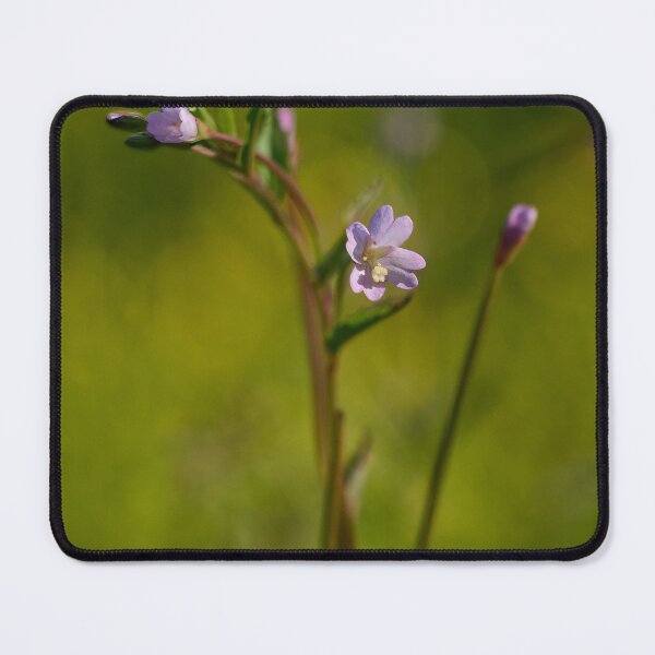 Item preview, The modest one. Broad-leaved Willowherb designed and sold by Jouko Lehto Photography.