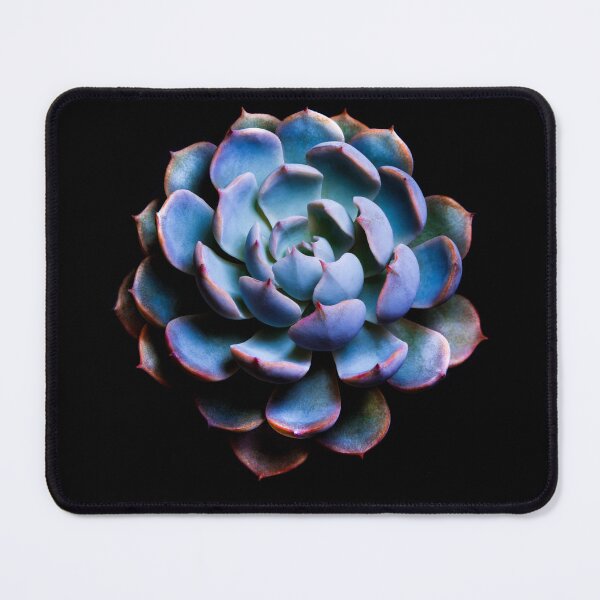 Item preview, Succulent plant close-up designed and sold by Satakorn.