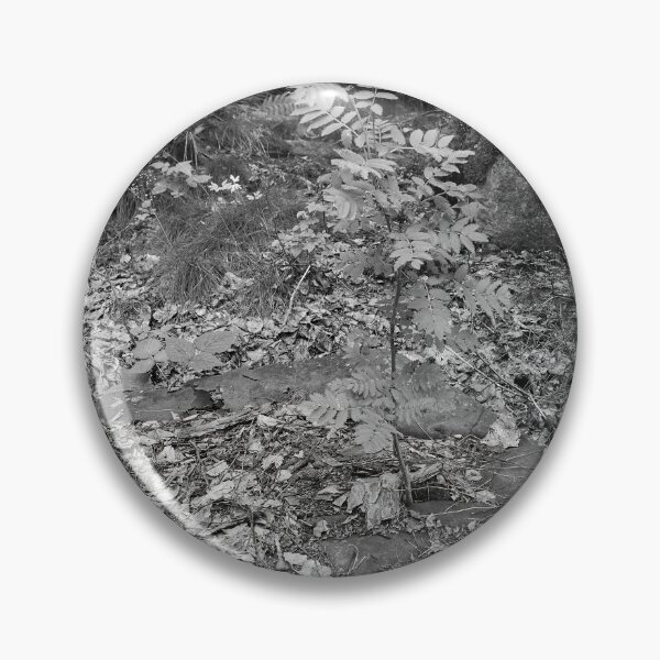 Item preview, In the end the nature wins bw designed and sold by Jouko Lehto Photography.