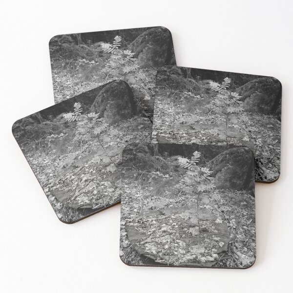 Item preview, In the end the nature wins bw designed and sold by Jouko Lehto Photography.