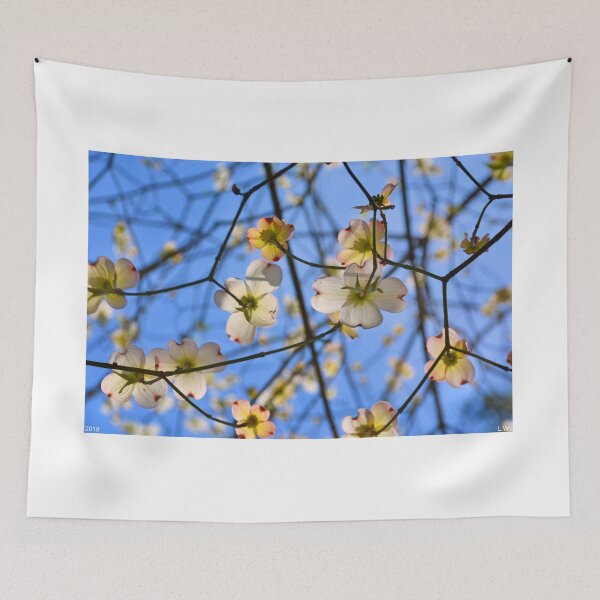 Item preview, Looking Up At Spring designed and sold by LisaWootenPhoto.