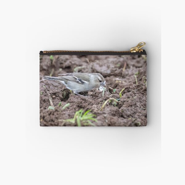 Item preview, Female Azores Chaffinch designed and sold by ansaharju.