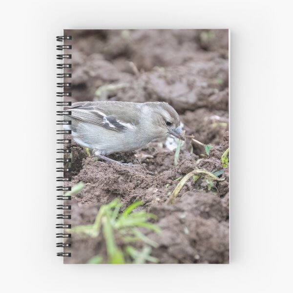 Item preview, Female Azores Chaffinch designed and sold by ansaharju.