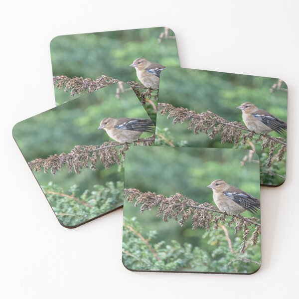 Item preview, Female Azores Chaffinch designed and sold by ansaharju.
