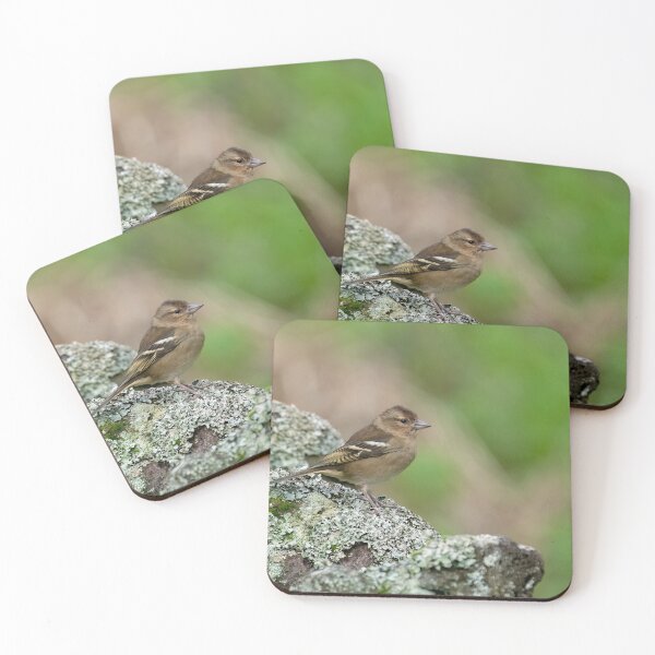 Item preview, Female Azores Chaffinch designed and sold by ansaharju.