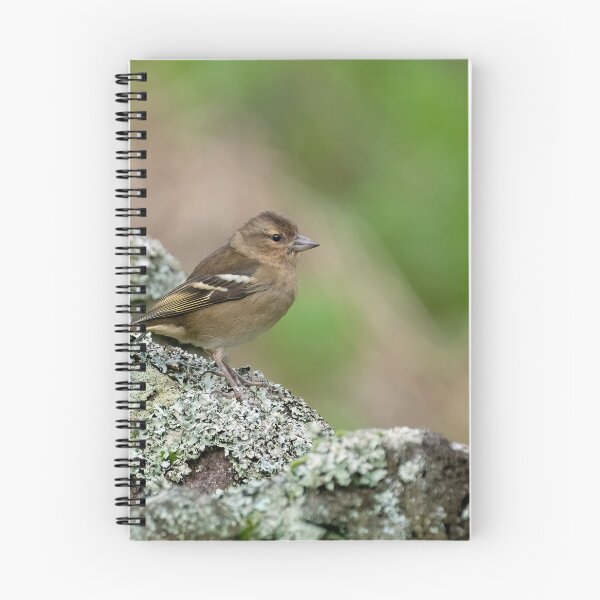 Item preview, Female Azores Chaffinch designed and sold by ansaharju.