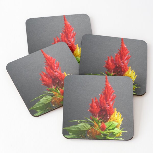 Item preview, Vibrant Flames of Red and Yellow Celosia Flowers designed and sold by JoyousArt4u.