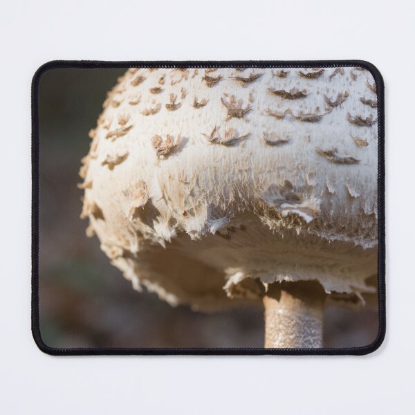 Item preview, White mushroom designed and sold by StohlerPhotos.