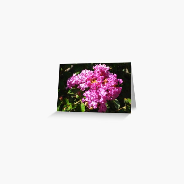Vista previa del artículo con la obra «Flores de crepe mirto de color rosa con volantes», diseñado y vendido por JoyousArt4u.