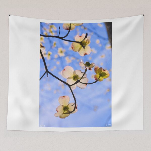 Item preview, Dogwood Blossoms In The Sky designed and sold by LisaWootenPhoto.