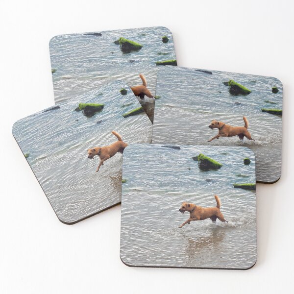 Item preview, Canine Fun At The Beach designed and sold by Dorset Girl.