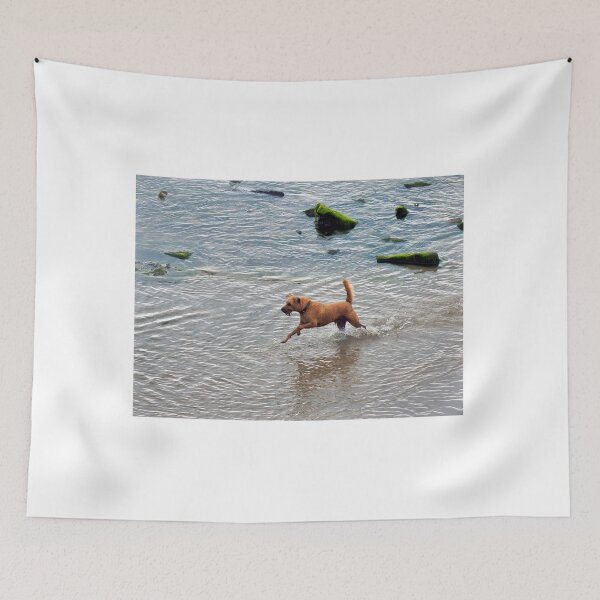 Item preview, Canine Fun At The Beach designed and sold by Dorset Girl.