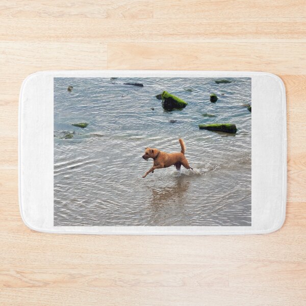 Item preview, Canine Fun At The Beach designed and sold by Dorset Girl.