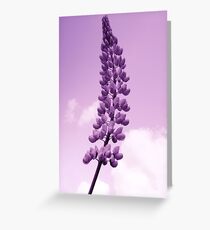 Lupin Greeting Card