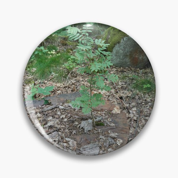 Item preview, In the end the nature wins designed and sold by Jouko Lehto Photography.