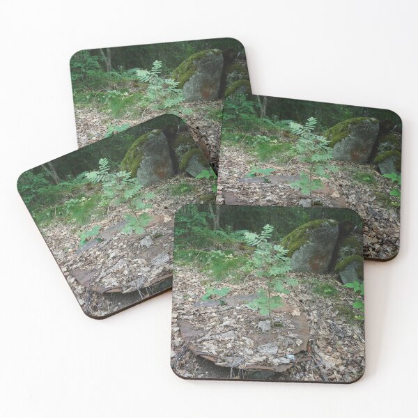 Item preview, In the end the nature wins designed and sold by Jouko Lehto Photography.