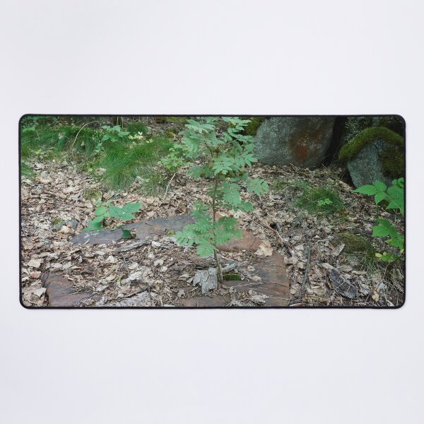 Item preview, In the end the nature wins designed and sold by Jouko Lehto Photography.