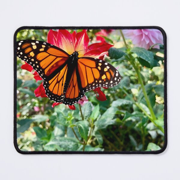 Item preview, Majestic Monarch designed and sold by Wendy Aull.