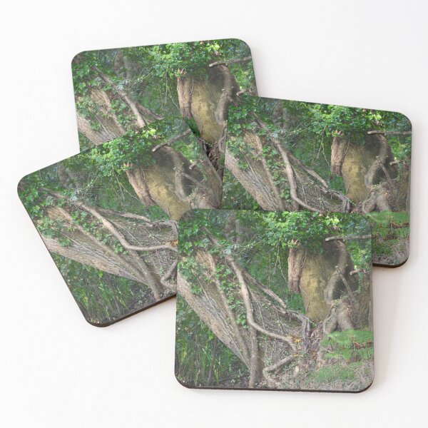 Item preview, Tree trunks designed and sold by CatherineMoore4.