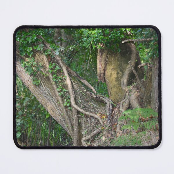 Item preview, Tree trunks designed and sold by CatherineMoore4.