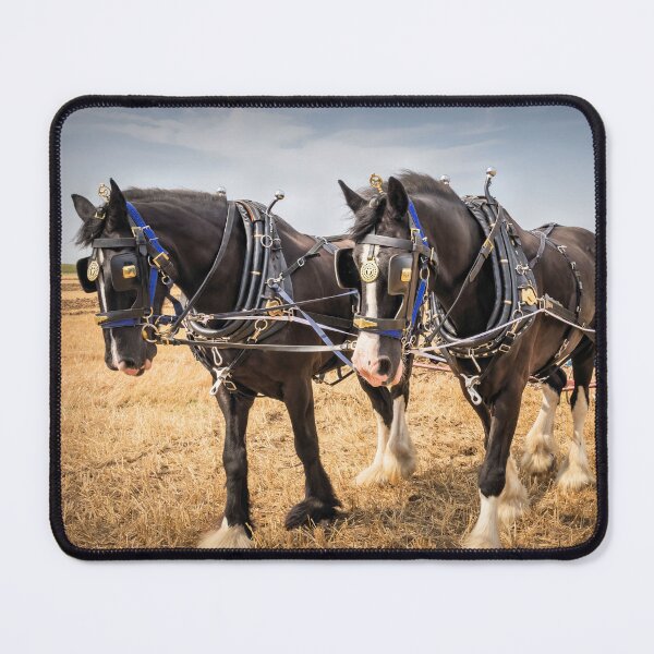 Item preview, 2 Horsepower designed and sold by JEZ22.